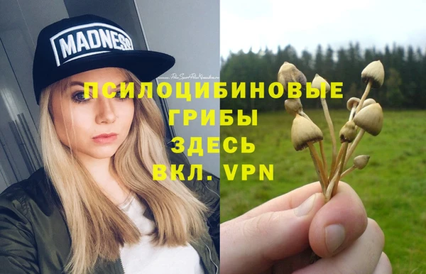 мескалин Горняк