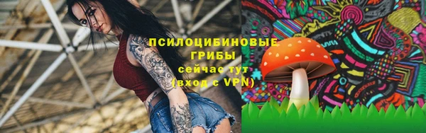 мескалин Горняк